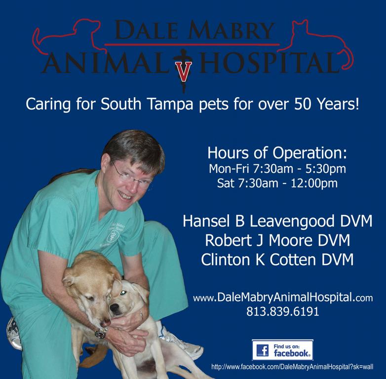Dale Mabry Animal Hospital Tampa FL 33629 8138396191